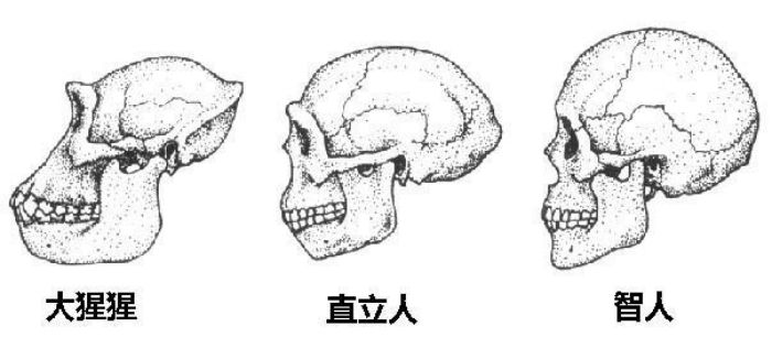 图片 8.jpg