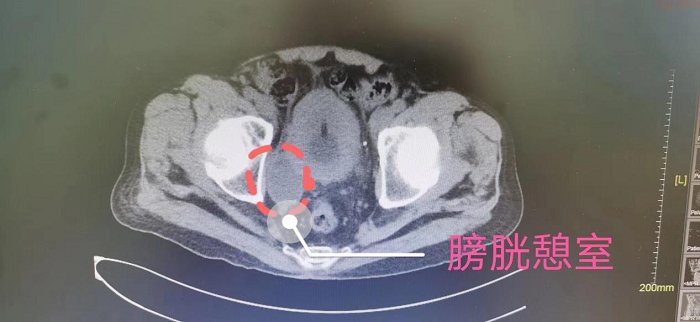 图片23.png