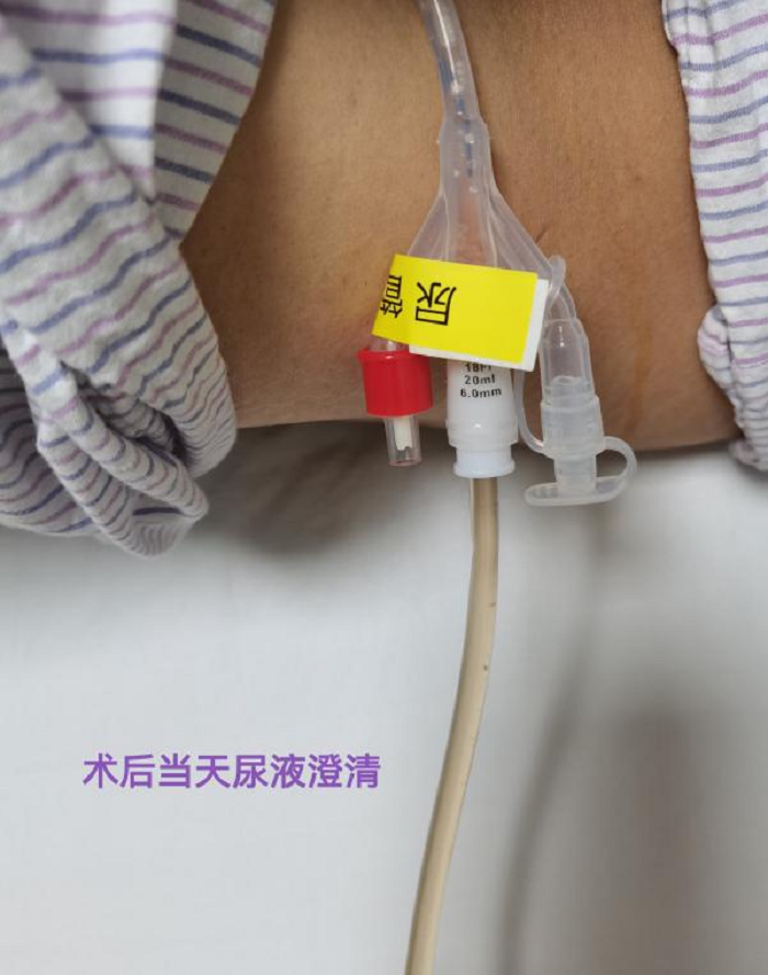 图片24.png