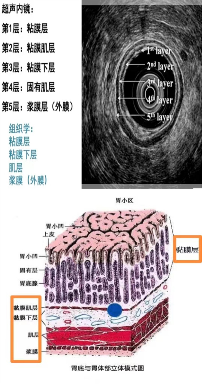 3.3_副本.jpg